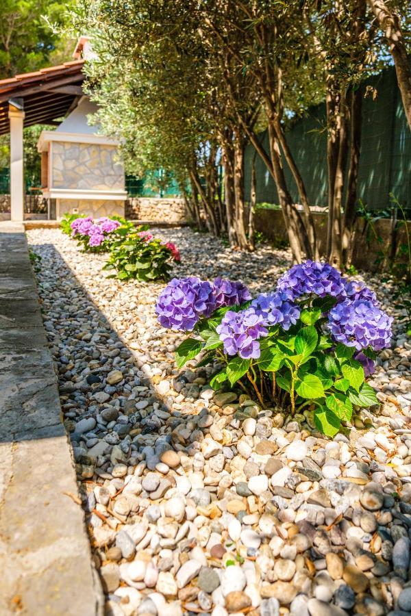 Anda - Kuca Za Odmor Villa Milna  Luaran gambar